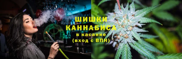 ПСИЛОЦИБИНОВЫЕ ГРИБЫ Яровое