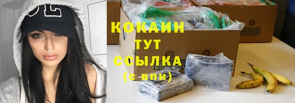 ПСИЛОЦИБИНОВЫЕ ГРИБЫ Яровое