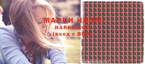 ПСИЛОЦИБИНОВЫЕ ГРИБЫ Яровое