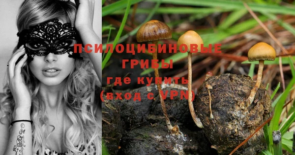 марихуана Кодинск