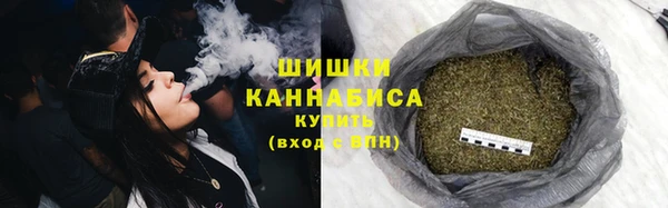 ПСИЛОЦИБИНОВЫЕ ГРИБЫ Яровое