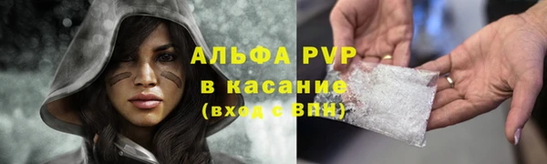 ПСИЛОЦИБИНОВЫЕ ГРИБЫ Яровое