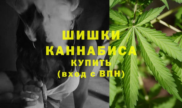 ПСИЛОЦИБИНОВЫЕ ГРИБЫ Яровое