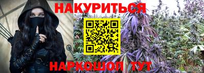 шишки Гатчина