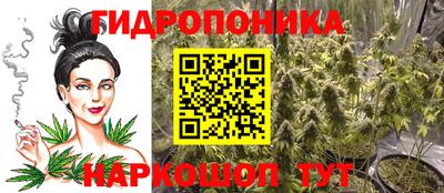шишки Ипатово