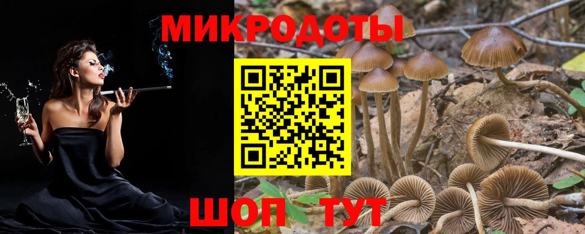 БУТИРАТ Зерноград